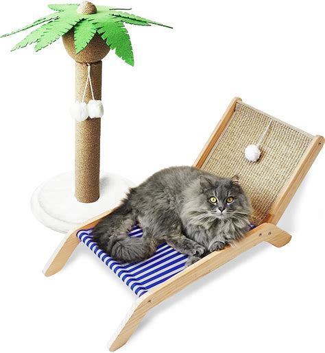 coconut kitty on bed|PETKARAY Cat Hammock with Coconut Palm Tree Scratching。